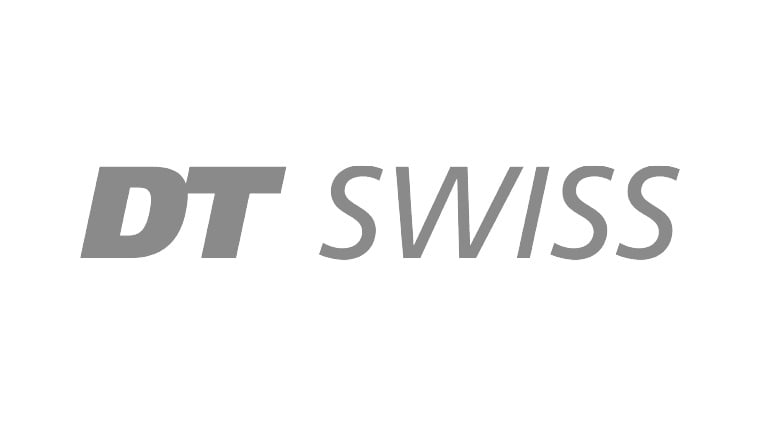 logo_DTswiss